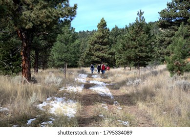 Hikers on a high mountain meadow path.