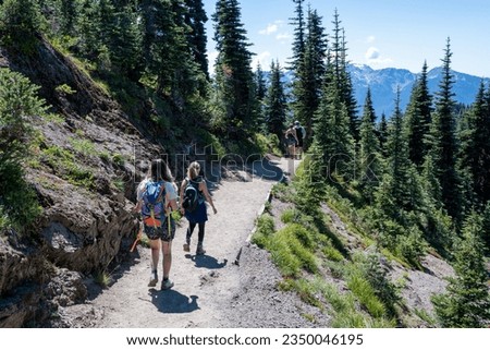 Hikers on Hurricane Ridge trail in Olympic National Park, Washington on sunny summer afternoon.