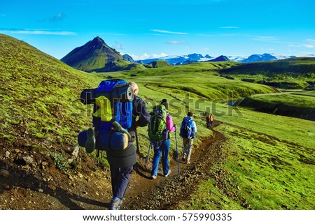 hikers on the trail in the Islandic mountains. Trek in National Park Landmannalaugar, Iceland. valley is covered with bright green moss