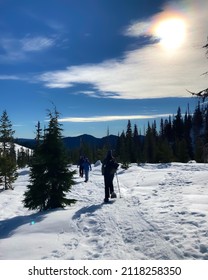 Hikers On White Snowshoe Trail With Evergreen Trees And Blue Sky