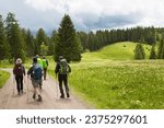 hikers and tourists in the typical wide hiking area in the German Black Forest along hills and valleys, meadow landscape, forests, mountain streams and rock formations