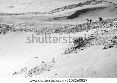 Similar – Image, Stock Photo 79 [dune climbing] Joy