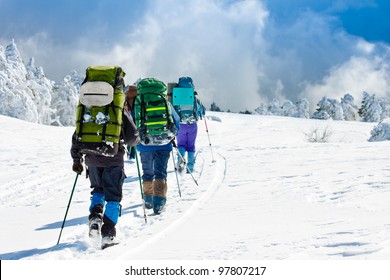 Hikers Walk In Snow Mountain