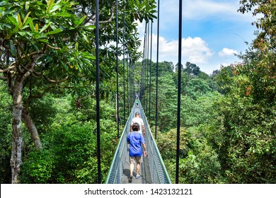 Hikers Walking Across a Pedestrian Walking Bridge in Southeast Asian Jungle / National Park (Summer) - Singapore 