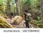 Hikers walking on forest trail with camping backpacks. Hiker woman from behind hiking in autumn fall nature woods. Group of tourists wearing backpacks outdoors trekking on mountain.