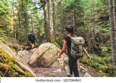 Hikers walking on forest trail with camping backpacks. Hiker woman from behind hiking in autumn fall nature woods. Group of tourists wearing backpacks outdoors trekking on mountain. - Shutterstock ID 1827084842