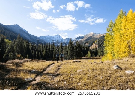 Hikers walking through the prairie portion of Capitol Ditch Trail near Aspen, Colorado on a crisp autumn day with Rocky Mountains in backgound on a sunny day.