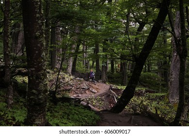 Hiking