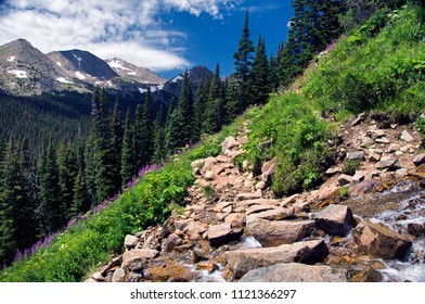 Hiking The 4th Of July Trail In The Arapaho National Forest