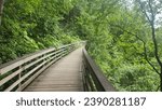 hiking across a raised foot bridge at alaskas thunderbird falls 