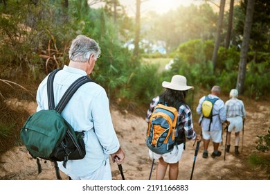 . Hiking, Adventure And Exploring With A Group Of Senior Friends Walking On A Trail In The Forest Or Woods. Rearview Of Retired People Taking A Hike Or Journey On A Discovery Vacation Outdoors.