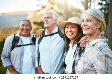 Hiking, adventure and exploring with a group of senior friends and retired adults enjoying a hike or walk outdoors in nature. Enjoying the view while on a journey of discovery in the forest or woods