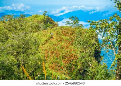 Hiking adventure on scenic mountain trail lush green landscape travel experience nature's beauty inspiring views outdoor activity - Powered by Shutterstock