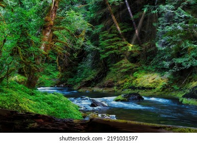 Hiking Along The Salmon River, Mt. Hood National Forest, Oregon