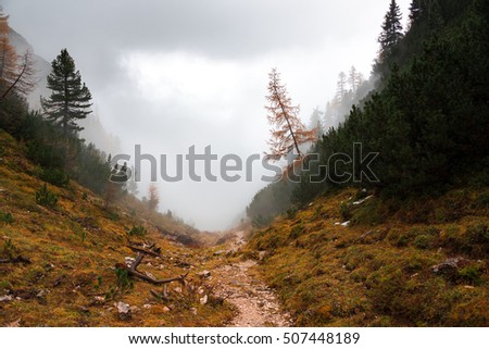 Similar – Vernebelte Herbstfärbung