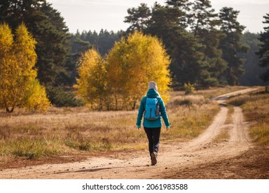 Hiking in autumn forest. Woman with backpack and knit hat walking on path in woodland. Adventure in nature. Active lifestyle. Solo hiker