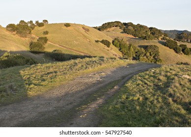 Hiking Back Hills Of Marin County