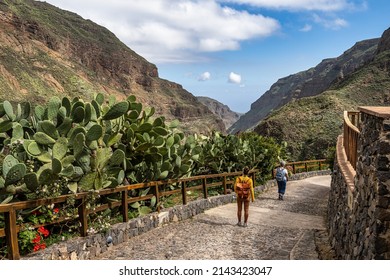 Hiking from Barranco de Guayadeque to Caldera de los Marteles, a volcanic area with dry fields at the bottom, Gran Canaria, Canary Island, Spain, Europe - Shutterstock ID 2143423047