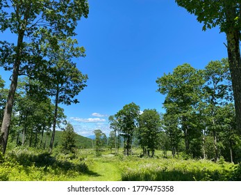 Hiking In The Berkshires Is Always A Good Idea