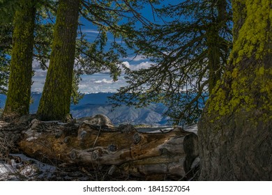 Hiking In Bogus Basin Boise Idaho