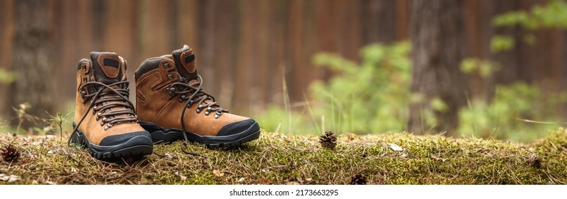 Hiking boot in forest. Brown waterproof leather ankle boots. Panoramic view of sports shoe
