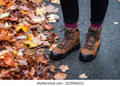 Hiking Boot On Road With Autumn Leaves. Waterproof Leather Ankle Boots. Female Legs Wearing Sport Shoes And Knitted Socks Outdoors