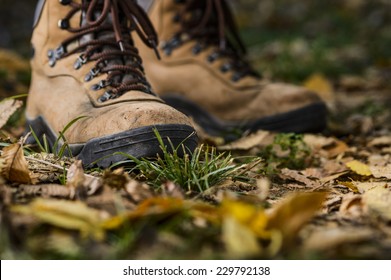 hiking boots on the forest floor - Powered by Shutterstock