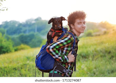 Hiking boy with a dachshund dog in the backpack - Shutterstock ID 1713274087