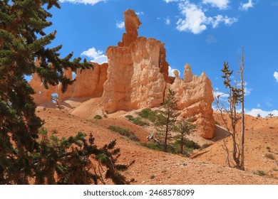 Hiking in Bryce Canyon with many hoodoos, blue skies, scrub brush, pines and red rocks - Powered by Shutterstock