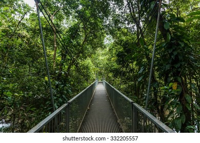 Hiking In Cape Tribulation