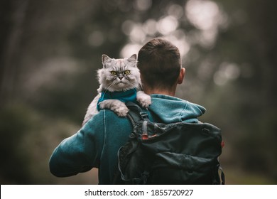 Hiking With Cat. Cat Sitting On The Shoulder. Walking The Cat. People And Pets. Human And Animal. Human And Pet Love Concept