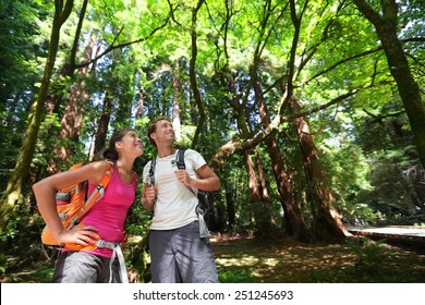 Hiking couple in forest Redwoods, San Francisco. Hiker couple walking among Redwood trees near San Francisco, California, USA. Multiracial couple, young Asian woman and Caucasian man. - Powered by Shutterstock