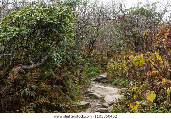 Hiking Craggy Gardens Trail On Top Royalty Free Stock Image