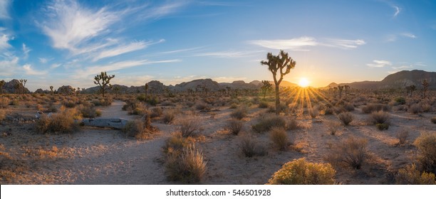 Hiking Early In The Morning At Joshua Tree National Park