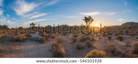 Hiking early in the morning at Joshua Tree National Park
