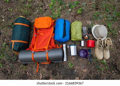 Hiking equipment. View from above. Pine forest - Powered by Shutterstock