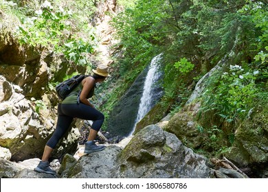 Hiking With The Family On The Trail 