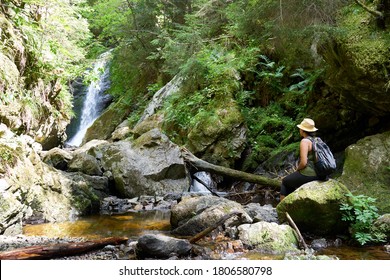 Hiking With The Family On The Trail 