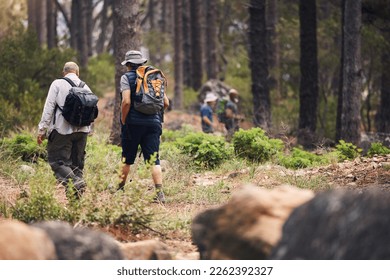 Hiking, fitness and people walking in forest for adventure, freedom and wellness in woods. Travel, outdoors and group of men hikers in natural environment for exercise, trekking and cardio workout