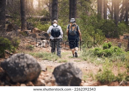 Hiking, fitness and people walking in forest for adventure, freedom and sports on mountain trail. Travel, training and back of hikers for exercise wellness, trekking and cardio workout in nature