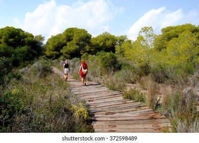 Hiking in the forest