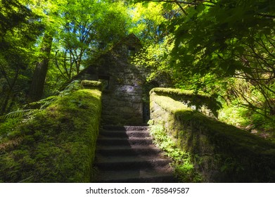 Hiking In Forest Park West Of Downtown Portland Oregon This Abandonded Stone Structure Was Built In 1950 To House Restrooms And Ranger Station For The Park And Was Abandonded In 1960.  