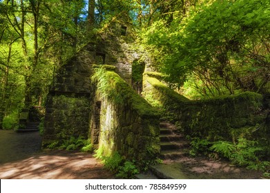 Hiking In Forest Park West Of Downtown Portland Oregon This Abandonded Stone Structure Was Built In 1950 To House Restrooms And Ranger Station For The Park And Was Abandonded In 1960.  