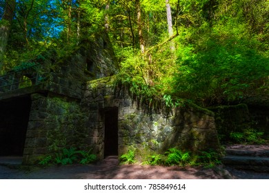 Hiking In Forest Park West Of Downtown Portland Oregon This Abandonded Stone Structure Was Built In 1950 To House Restrooms And Ranger Station For The Park And Was Abandonded In 1960.  