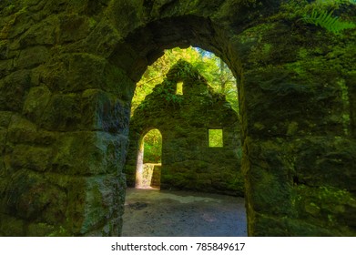 Hiking In Forest Park West Of Downtown Portland Oregon This Abandonded Stone Structure Was Built In 1950 To House Restrooms And Ranger Station For The Park And Was Abandonded In 1960.  