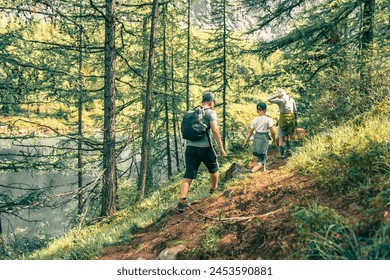 hiking in the forest in summer  - Powered by Shutterstock