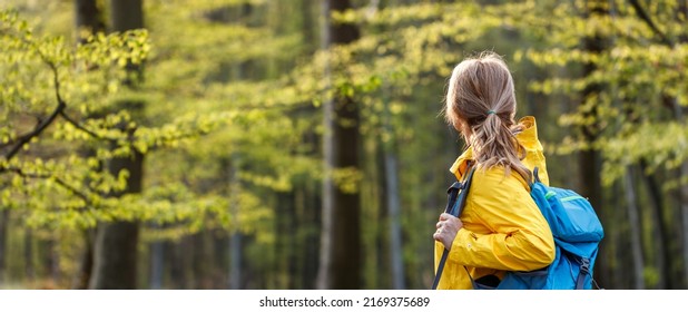 Hiking in forest. Woman with backpack and yellow jacket trekking in woodland. Panoramic view