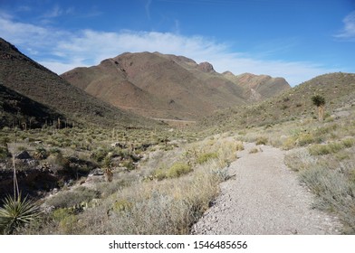 Hiking In The Franklin Mountains