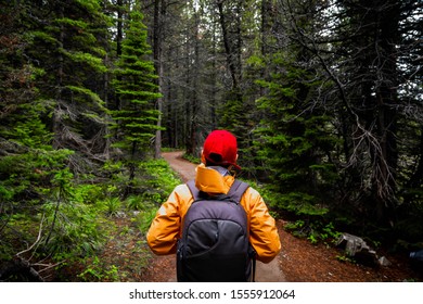 Hiking In Glacier National Park, Montana, USA