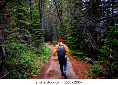 Hiking In Glacier National Park, Montana, USA